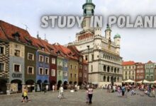 Study in Poland